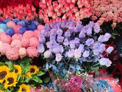 -越秀西湖花市(广州城市广场花卉店)