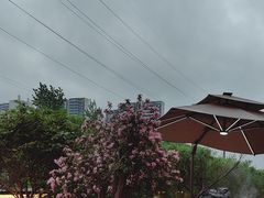 -观宴·品质赣菜(高新大道店)