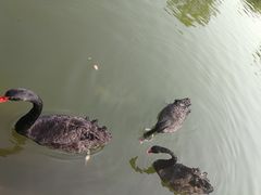 -鄱阳湖国家湿地公园