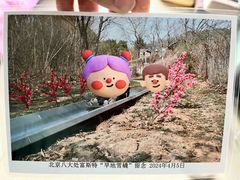 -八大处公园