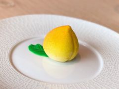 -诺莱仕游艇会