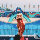 东方之珠一衣带水，永远是我们的一部分