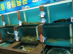 -大清花饺子(五五路店)