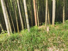 -孙武文化园-停车场