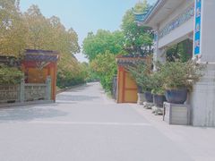 -高旻寺