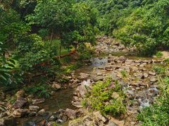 -广州白江湖森林公园