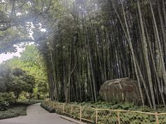-上海醉白池公园