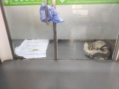 -爱侣宠医·鹦鹉专科·小型哺乳类·异宠专科(灵石路店)