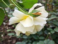 -共青国家森林公园-南大门停车场