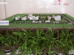 -上海科学技术职业学院