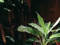 -紫莲花足道(柯桥古镇店)