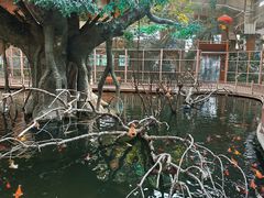 -南宫五洲植物乐园