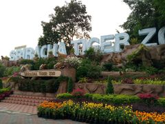 -是拉差龙虎园(Permanently closed)