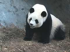 -泉州海丝野生动物世界