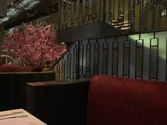 -金轩中餐厅 Jin Xuan(浦东丽思卡尔顿酒店)