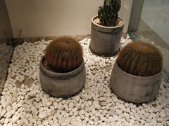 -喜茶(深圳东门1234店)