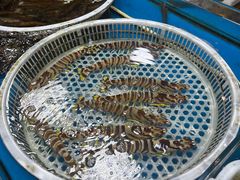 -王四营海鲜市场