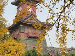 -四川大学(华西校区)