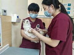 -美联众合动物医院·24h京西诊疗中心