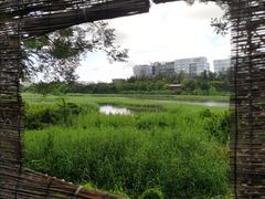 -华侨城湿地公园