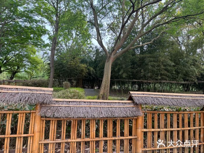 上海共青森林公园图片