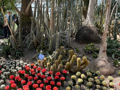 -南山植物园