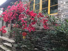 -扬美古镇景区