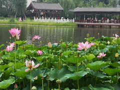 -西海子公园