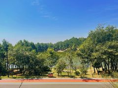 -南京市无想山景区