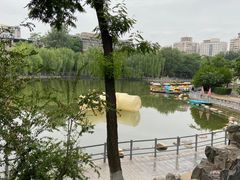 -莲湖公园