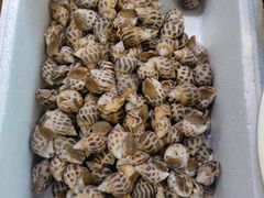 -三个渔夫·蒸汽海鲜(小白楼店)