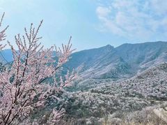 -百里山水画廊
