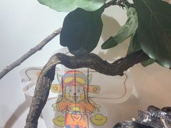 -阜昌典当行(阜成门店)