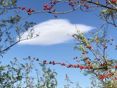 -阳台山自然风景区