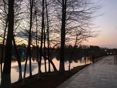 -绍兴镜湖国家城市湿地公园