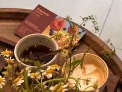 -Again Coffee Roaster(香蜜湖店)