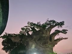 -苏州湾梦幻水世界