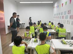 -常青藤国际象棋(新奥店)