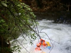 -清泉湾生态旅游度假区