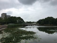 -新江湾城公园