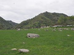 -狮子沟牧场