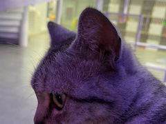 -极木²邸 人与宠物·互动社区