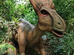 -呀路古热带植物园