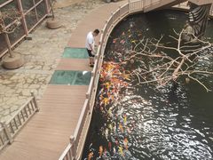 -南宫五洲植物乐园