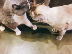 -MIKAKU(万达广场上海宝山店)