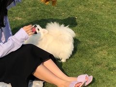 -厦门日月谷温泉渡假村