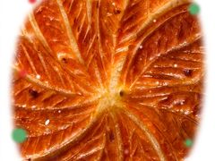 -81bakery(关山路店)