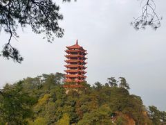 -缙云山景区