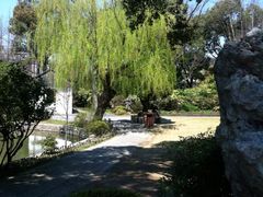 -上海醉白池公园