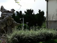 -上海财经大学(国定路校区)